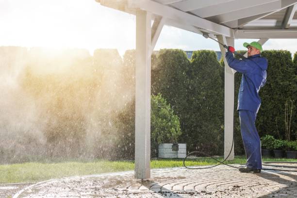Best Soft Washing for Delicate Surfaces in Burlington, KY